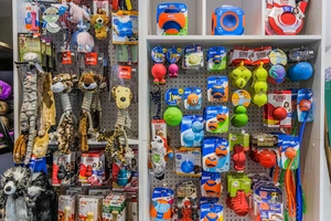 A store display of assorted colorful dog toys hanging on shelves and hooks.