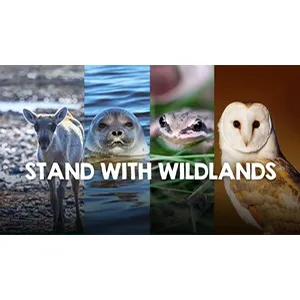 Four animals—a deer, seal, lizard, and owl—behind the text 'STAND WITH WILDLANDS'.