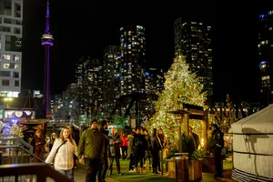 People gather at a festive outdoor market with a lit Christmas tree and city skyline at night.